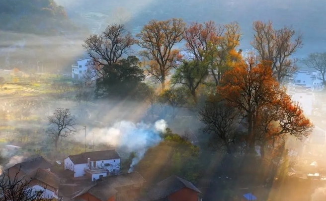 婺源石城红枫叶几月最佳赏枫