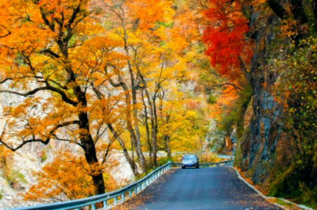 神農架2021旅游年卡10元卡活動時間及辦理指南 神農架2021旅游年卡10元卡活動時間及辦理指南