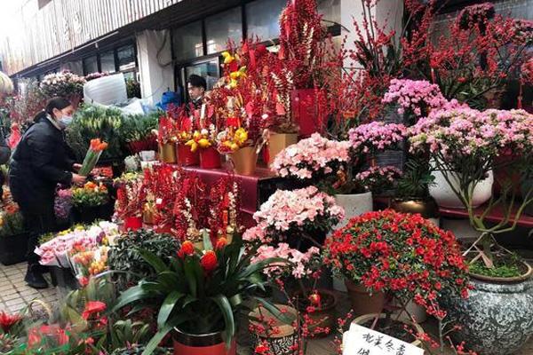 东莞春节买花去哪东莞花卉市场批发市场在哪里