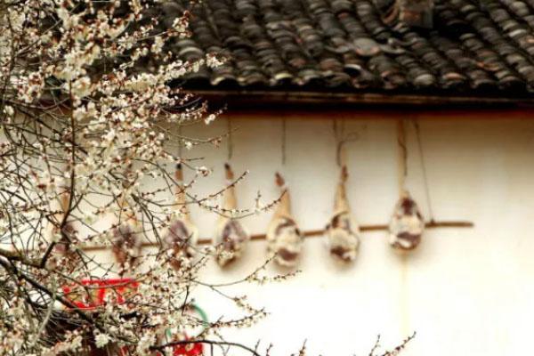黄山赏梅花的地方推荐2021