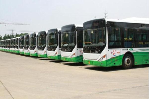 2021胶州市民春节可免费乘坐公交 2021胶州市民春节可免费乘坐公交