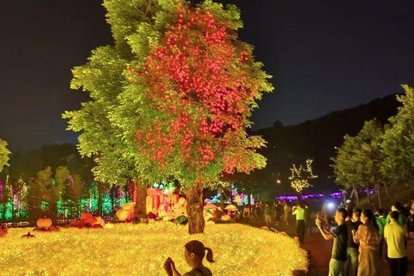 2021南宁青秀山夜游灯展开放时间-夜游地点 2021南宁青秀山夜游灯展开放时间-夜游地点