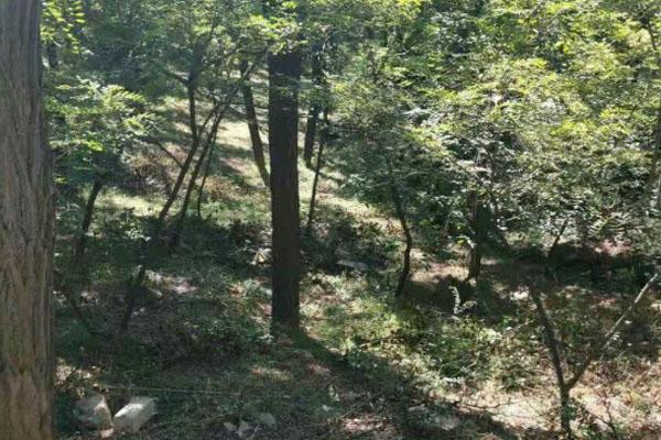 联峰山封山时间2021 春节开放吗 联峰山封山时间2021 春节开放吗