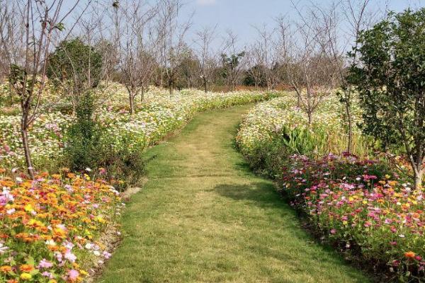 上海金山古风打卡圣地有哪些 上海金山古风打卡圣地推荐 上海金山古风打卡圣地有哪些 上海金山古风打卡圣地推荐