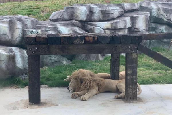 南京新晋国家AAA级旅游景区