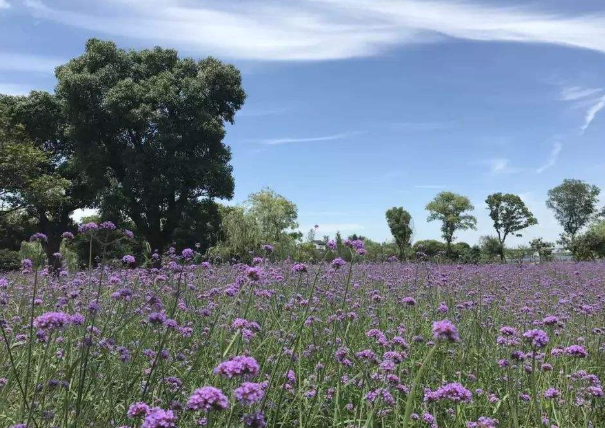 2021常州惠民旅游卡价格景点名单及办卡指南