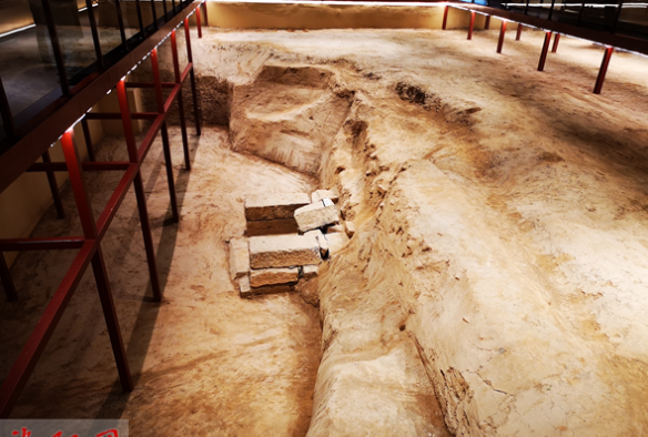 2020洛陽博物館開放時間及夜場關閉時間 2020洛陽博物館開放時間及夜場關閉時間