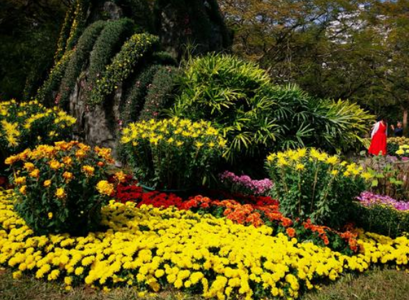 11月19日起八一广场喷泉停喷 滕王阁无人机表演时间