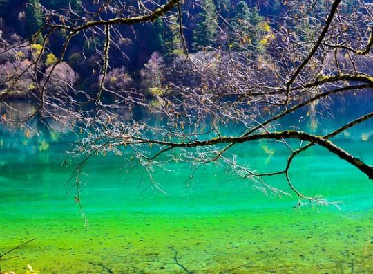 2020九寨沟11月份能去吗 及九寨沟旅游攻略 2020九寨沟11月份能去吗 及九寨沟旅游攻略