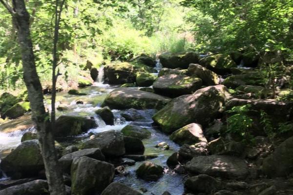 茅兰沟国家森林公园在哪里怎么去-门票多少钱 茅兰沟国家森林公园在哪里怎么去-门票多少钱