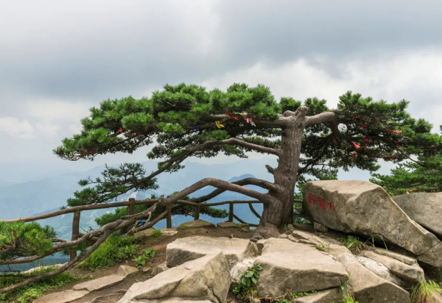 2021五一湖北景区门票半价优惠活动汇总-半价景区名单