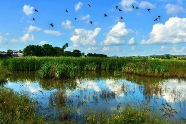 2021长春春游去哪里 长春周末好去处