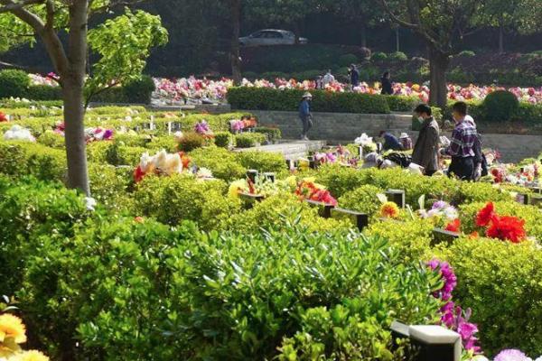 天津公墓扫墓怎么预约 2021天津各大公墓扫墓预约方式 天津公墓扫墓怎么预约 2021天津各大公墓扫墓预约方式