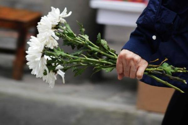 天津公墓扫墓怎么预约 2021天津各大公墓扫墓预约方式 天津公墓扫墓怎么预约 2021天津各大公墓扫墓预约方式