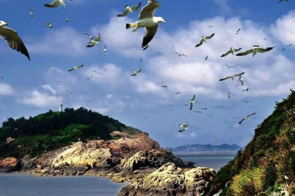 2021温州露营去哪里好 温州露营最佳地点