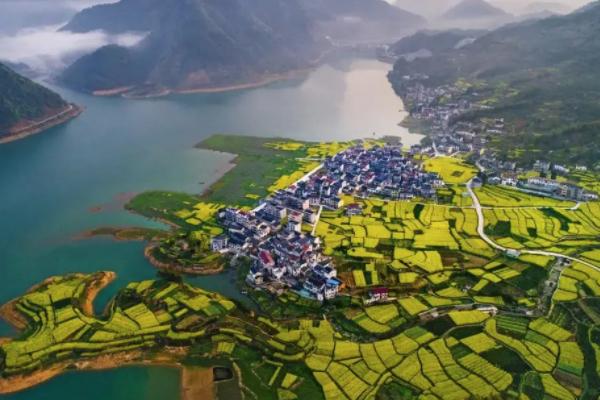 2021千岛湖赏花地图 千岛湖赏花地点推荐