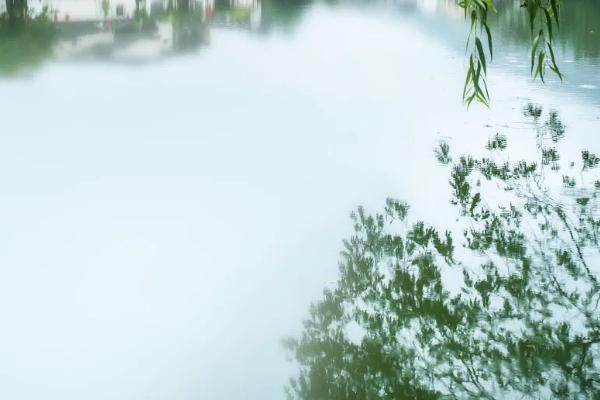 徽州哪些地方好玩 徽州春季适合去哪里 徽州哪些地方好玩 徽州春季适合去哪里