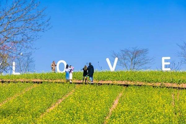 2021金华有哪些赏花的地方  2021金华有哪些赏花的地方