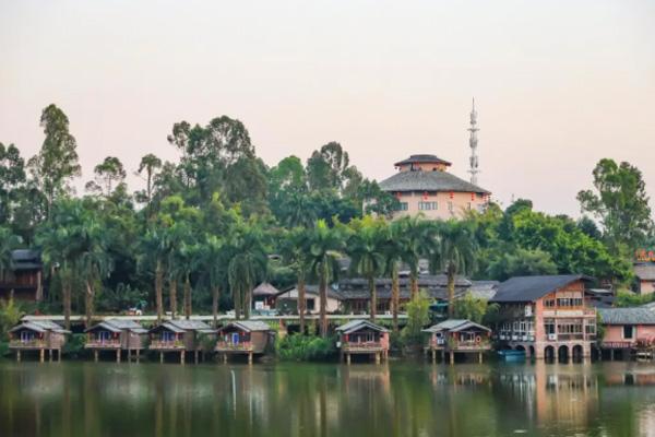 2021深圳植树节哪里可以种树 2021深圳植树节哪里可以种树