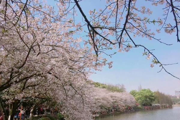 长沙春游最适合去的地方 长沙春游踏青好去处2021 长沙春游最适合去的地方 长沙春游踏青好去处2021