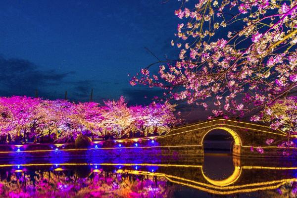 2021无锡鼋头渚樱花节烟花是几点开始 夜樱游玩攻略 2021无锡鼋头渚樱花节烟花是几点开始 夜樱游玩攻略