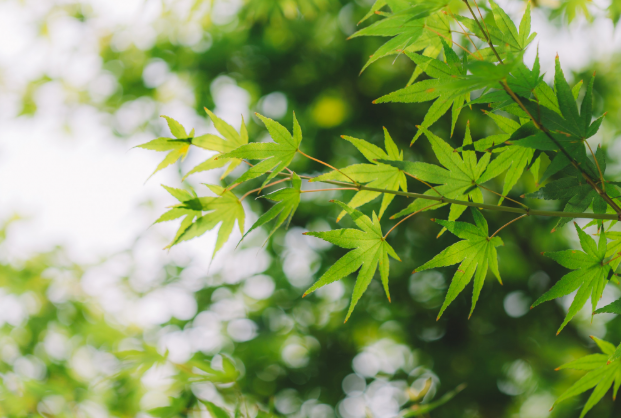 2021扬州世园会什么时间开幕及活动详情 扬州世园会门票多少钱 2021扬州世园会什么时间开幕及活动详情 扬州世园会门票多少钱