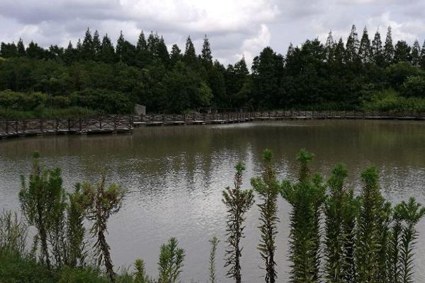 上海绿道徒步路线有哪些 上海绿道徒步路线推荐 上海绿道徒步路线有哪些 上海绿道徒步路线推荐