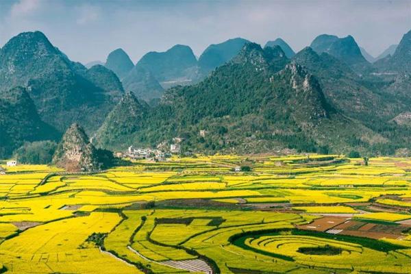 贵州油菜花海在哪里 附交通指南 贵州油菜花海在哪里 附交通指南