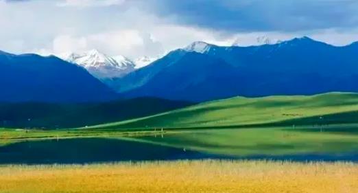 青海草原属于什么草原 青海草原都有哪些