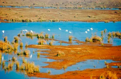 鄱陽湖在哪個省份、江西省北部（省鳥白鶴越冬之地）