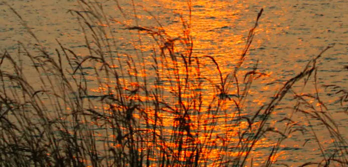 湖南湖北以什么湖为界，洞庭湖（你猜对了吗）