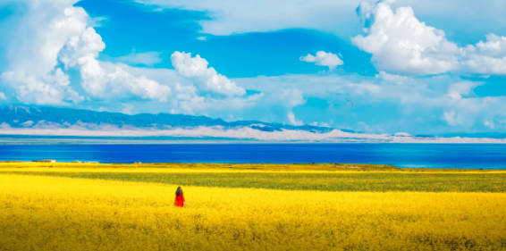 青海湖在哪里，青藏高原东北部、青海省境内（网红打卡地）