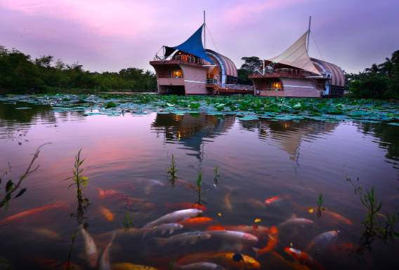 海上田园的门票价格，成人票60元，夜场门票20元(团购优惠政策)