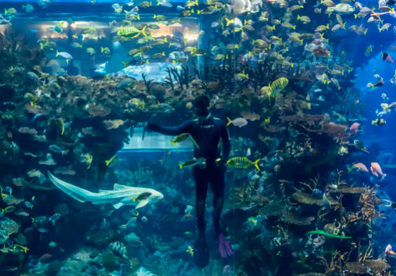 2022北京海洋馆地址，门票 ，85.00元起（优待政策）