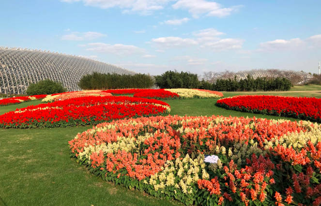 2022辰山植物园门票，攻略，成人60元、老人50元、学生30元（优待政策）