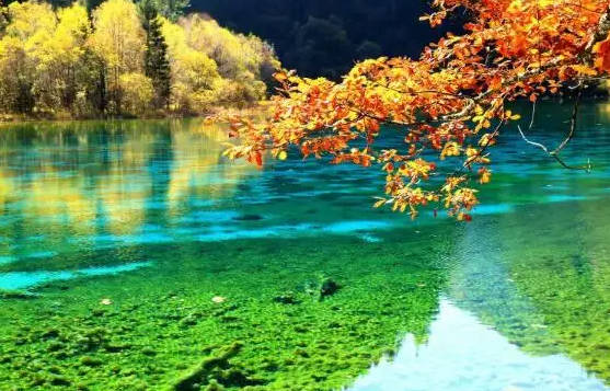 九寨沟几月份去最好,9-11月红叶/12-2月观雪/3-5月赏花/6-8月避暑(四季都美)