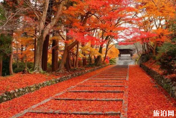 2018北京红叶最佳观赏景点地址+门票+交通+停车信息