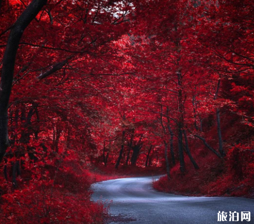2018北京红叶最佳观赏景点地址+门票+交通+停车信息