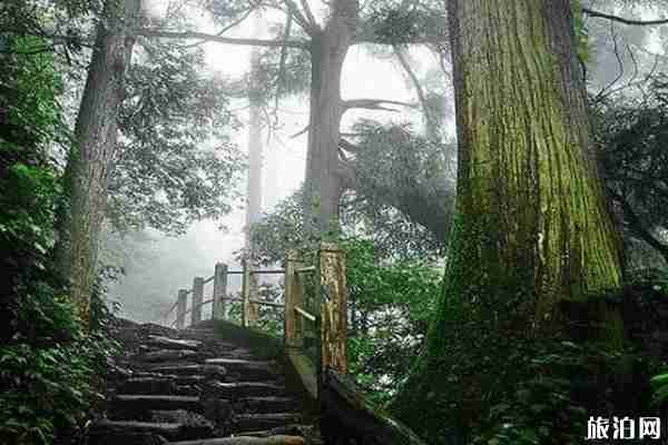 杭州避暑勝地有哪些