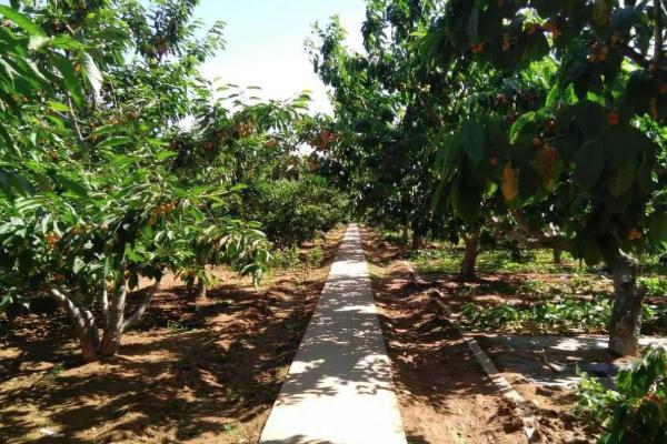 2021蕭山親子活動景點 蕭山親子游玩攻略