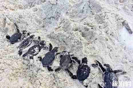 2019热浪岛开放时间 热浪岛有什么好玩的