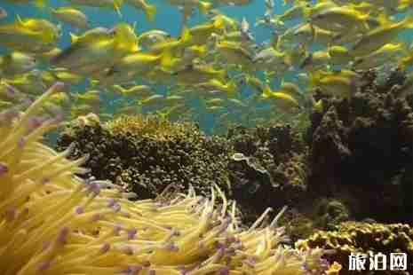 2019热浪岛开放时间 热浪岛有什么好玩的