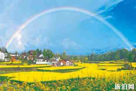 2019汉中油菜花节最新观花公交路线