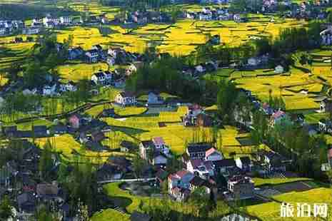 2019汉中油菜花节最新观花公交路线