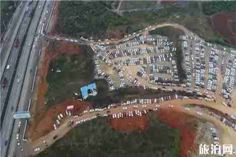 安顺平坝樱花园周边有什么好玩的 附直通樱花园信息