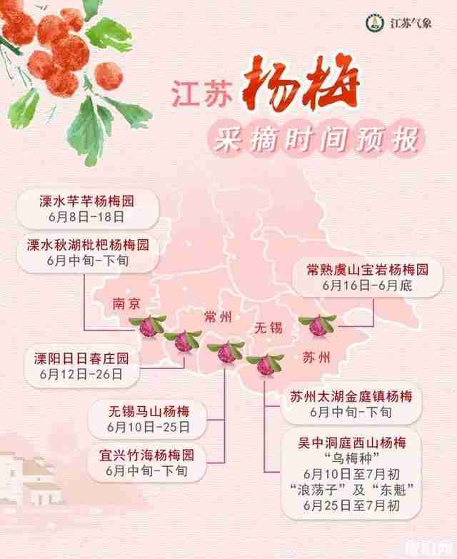 江苏杨梅采摘园推荐 附最佳采摘时间