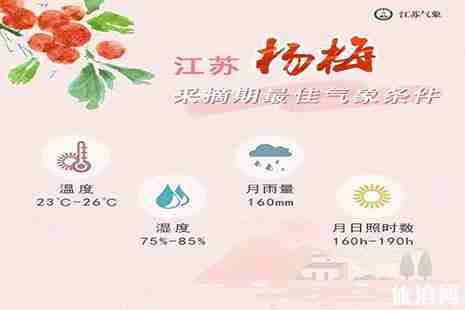 江苏杨梅采摘园推荐 附最佳采摘时间