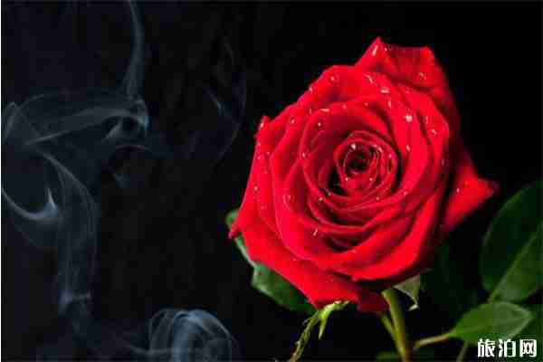 西安七夕演出匯總 西安七夕去哪里玩