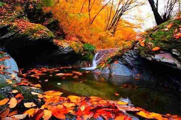 10月賞秋的好地方 十月哪里的紅葉開始紅了