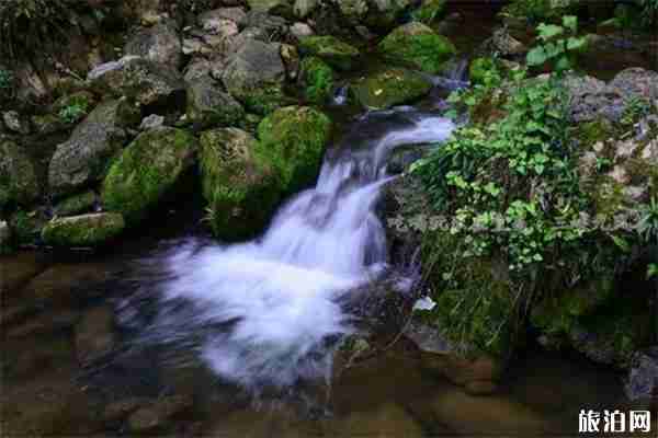 宜昌九凤谷门票价格多少